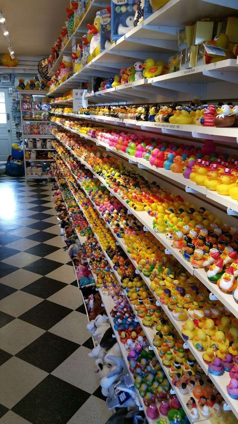 A Store Dedicated Entirely to Rubber Ducks