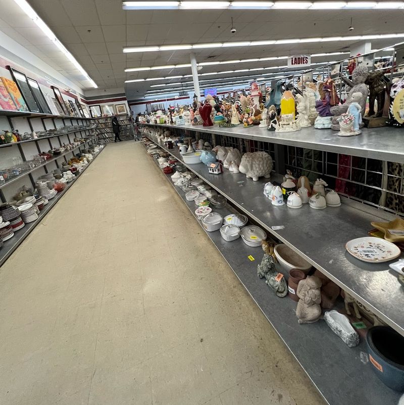 A Store So Big It Feels Like Its Own World