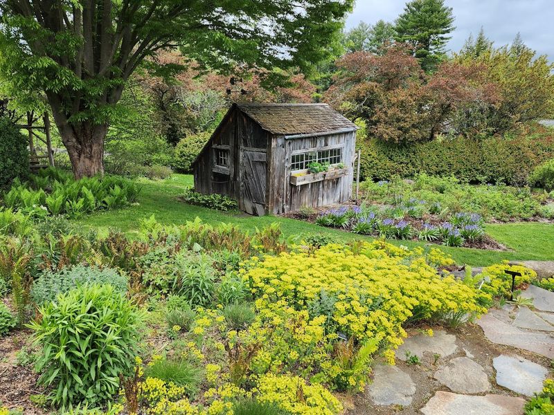 A Storybook Entrance That Sets the Mood