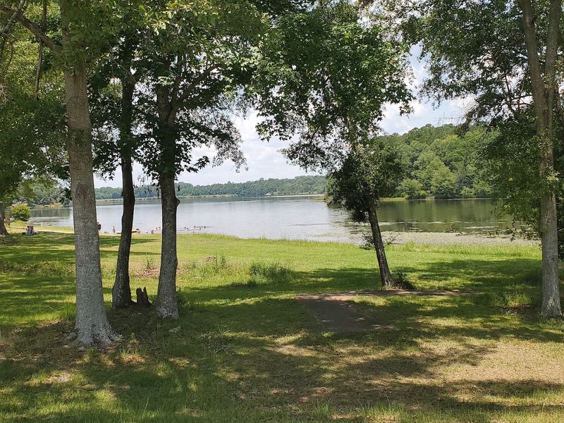 A Swimming Area to Cool Off on Hot Alabama Days