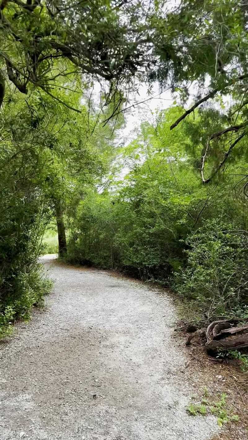 A Trail With Three Totally Different Surfaces A Trail With Three Totally Different Surfaces
