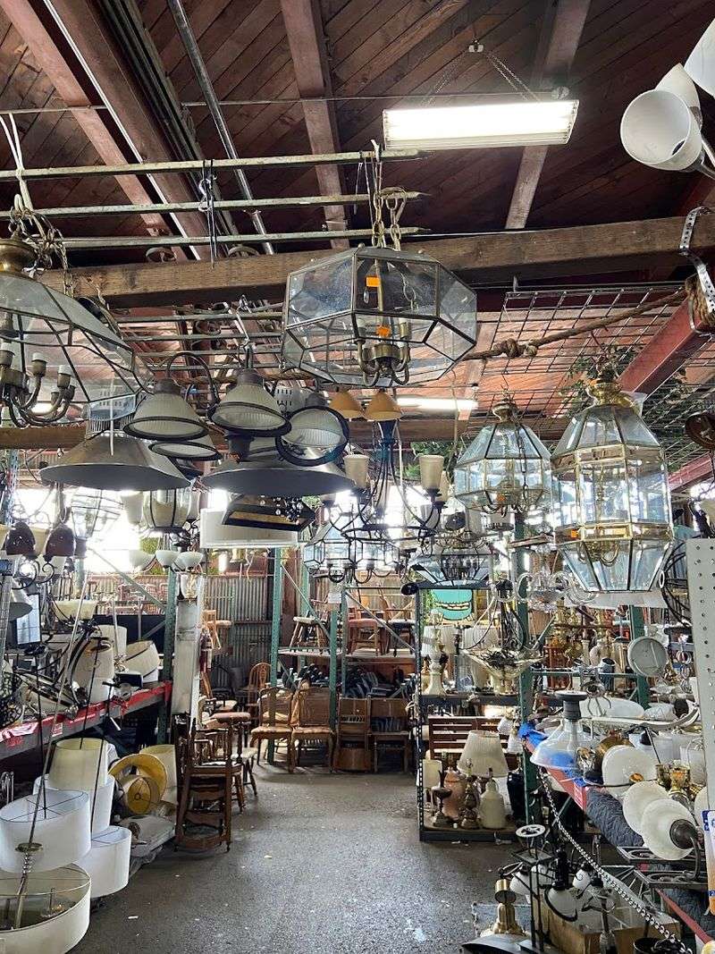 A Treasure Hunter's Dream Come True A Treasure Hunter's Dream Come True