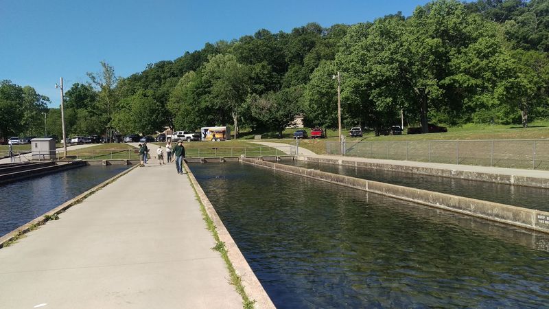 A Trout Hatchery That Stocks the Spring Year-Round