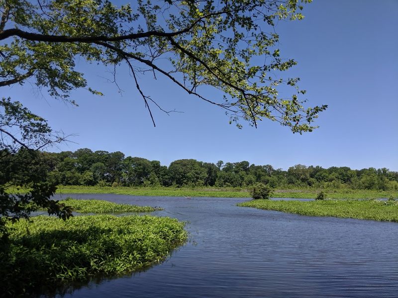 A True Hidden Gem for Quiet Seekers