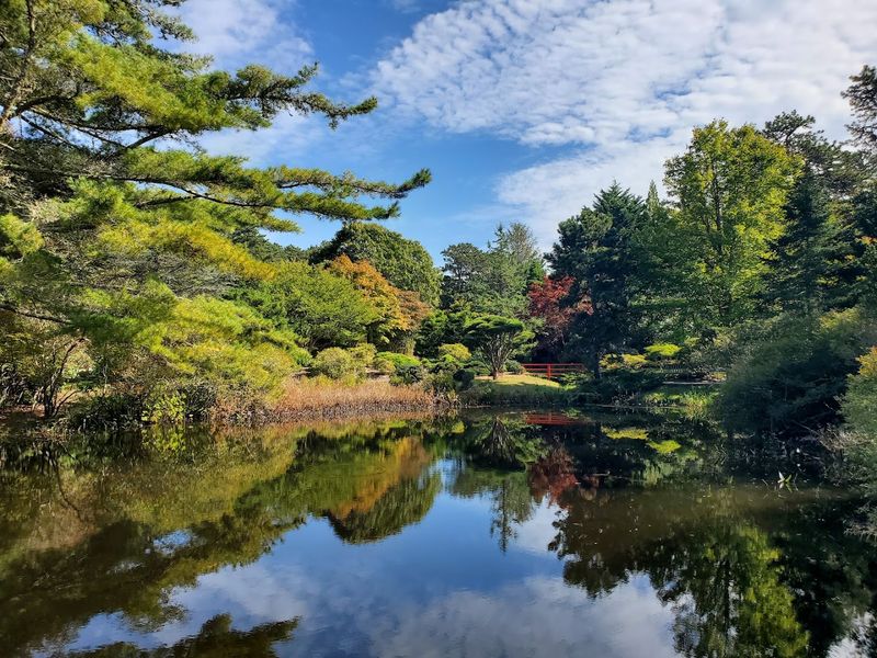 A Truly Hidden Gem on Chappaquiddick Island