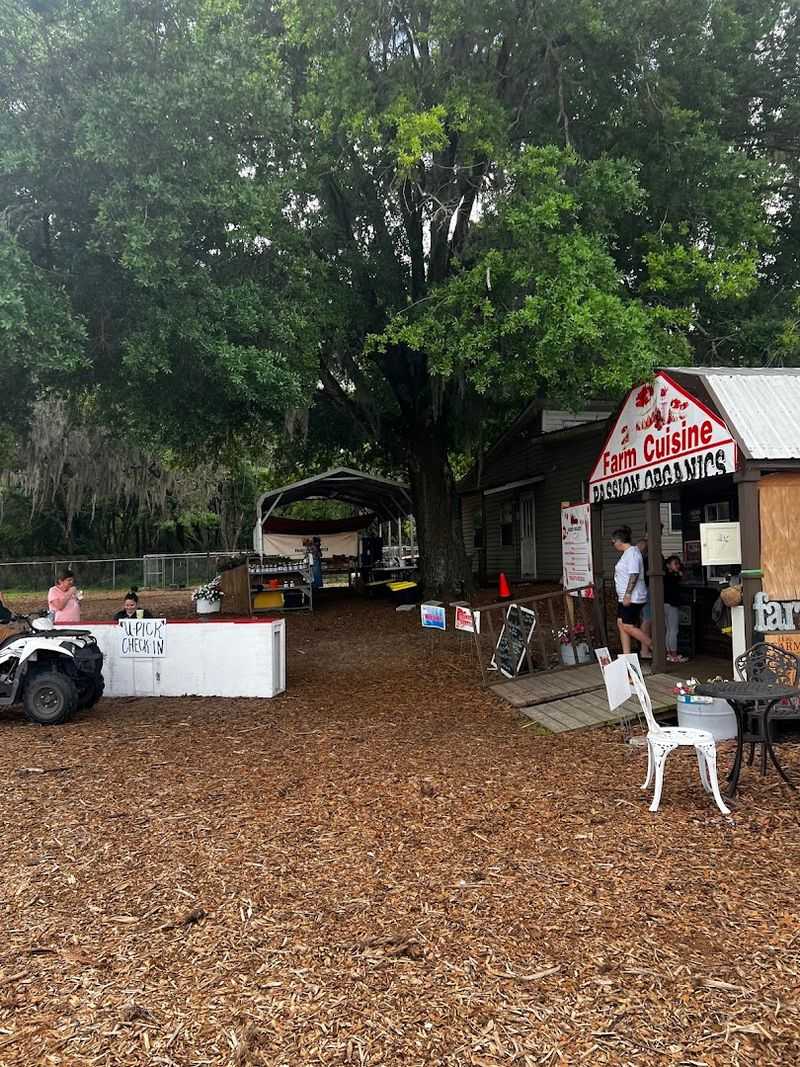 A Welcoming Owner Who Makes Every Visit Feel Personal