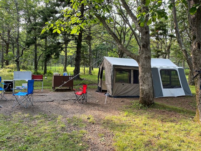 A Welcoming Spot for First-Time Campers and Families