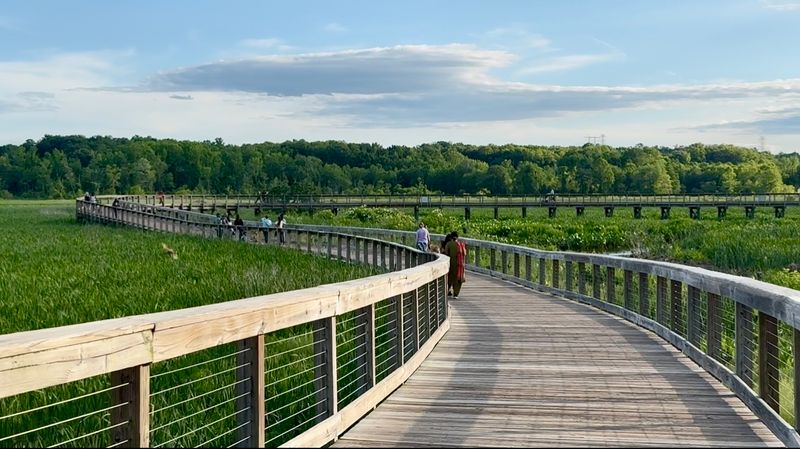A Wetlands Boardwalk Unlike Anything Else in Northern Virginia