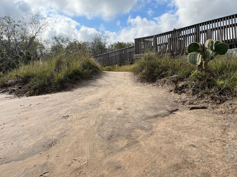 A Wildlife Paradise Hidden in Plain Sight