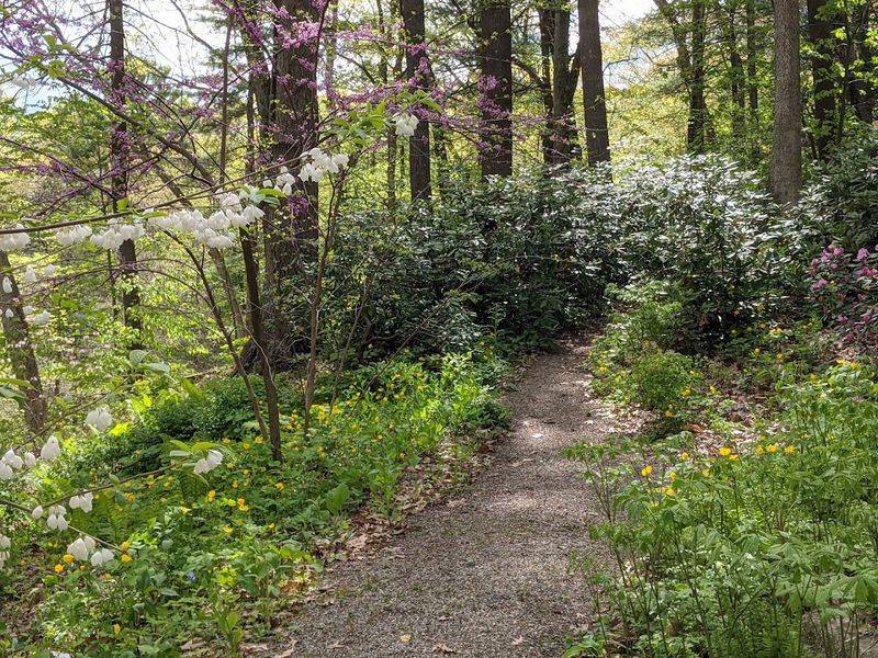A Woodland Wonderland That Feels Straight Out of a Fairy Tale A Woodland Wonderland That Feels Straight Out of a Fairy Tale