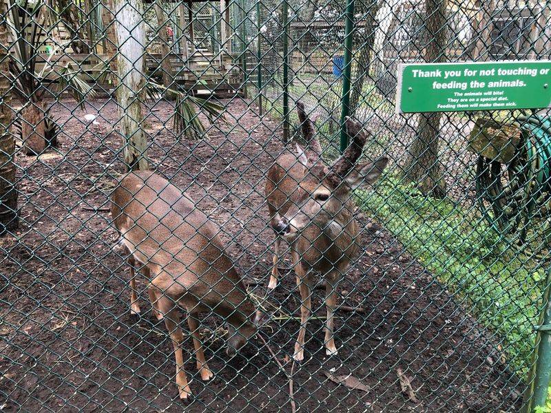 A World-Class Wildlife Rehabilitation Hospital