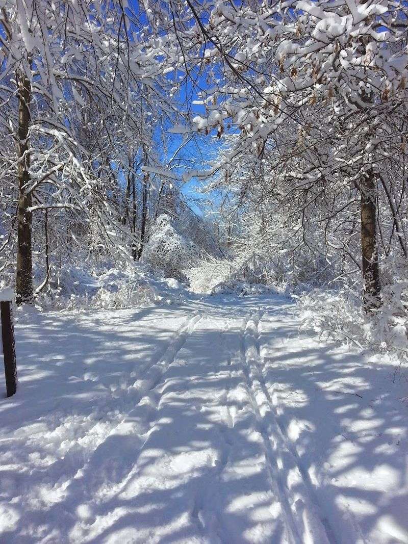 A Year-Round Destination That Changes With Every Season