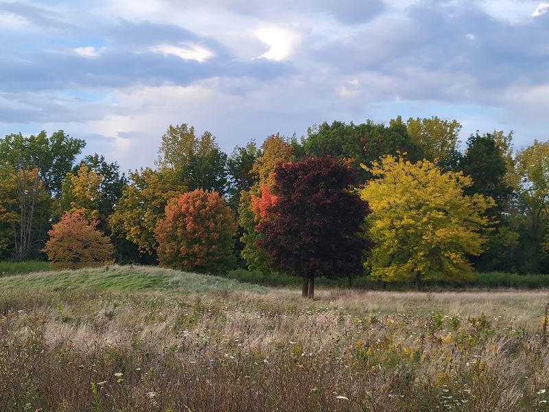 A Year-Round Destination With Something New Every Season