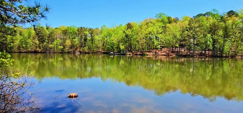 A Year-Round Destination for Every Season A Year-Round Destination for Every Season