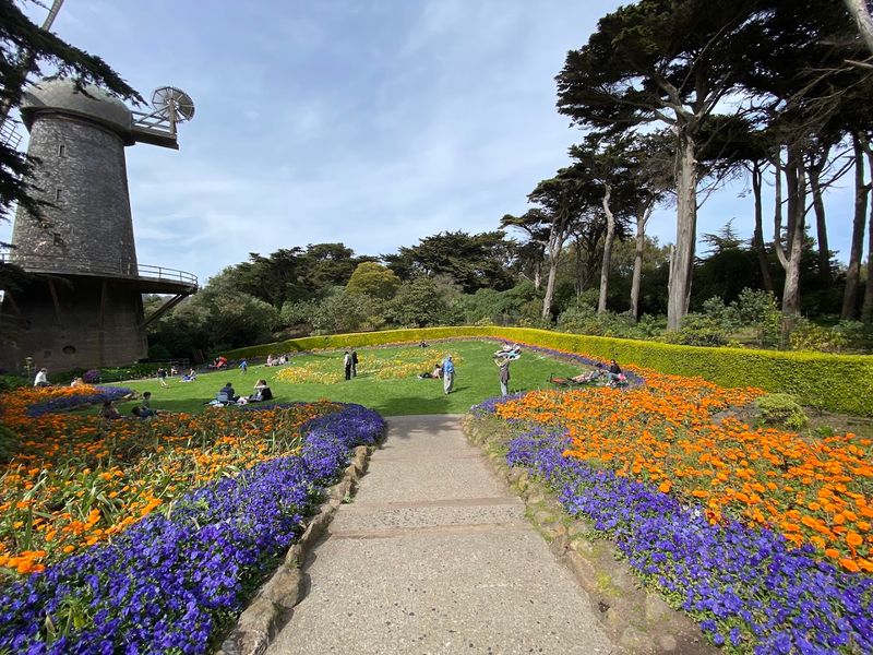 A Year-Round Garden With Surprises Every Season