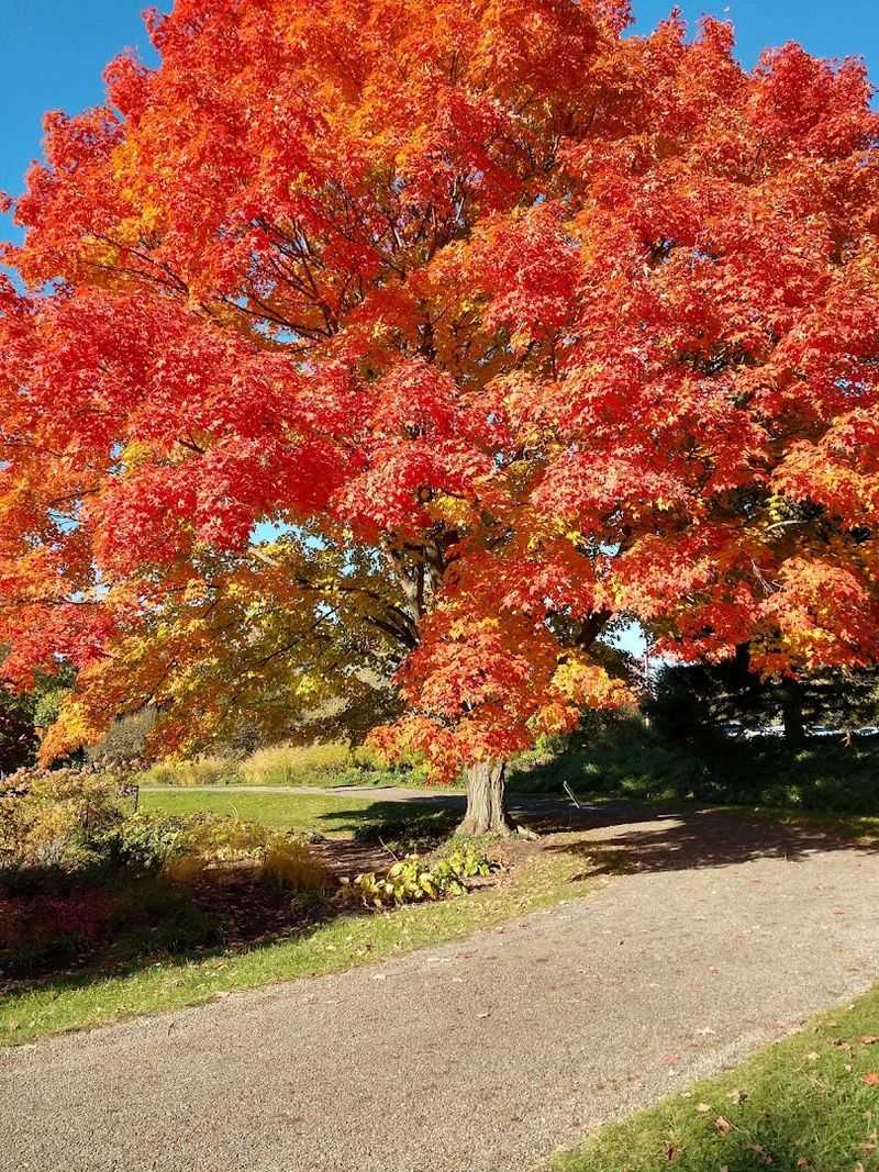Accessibility Features That Make Nature Available to Everyone