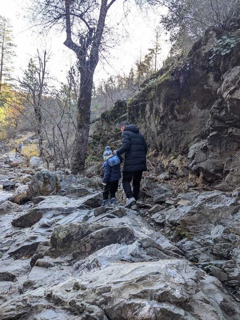 Accessibility and What to Expect on the Trail Down