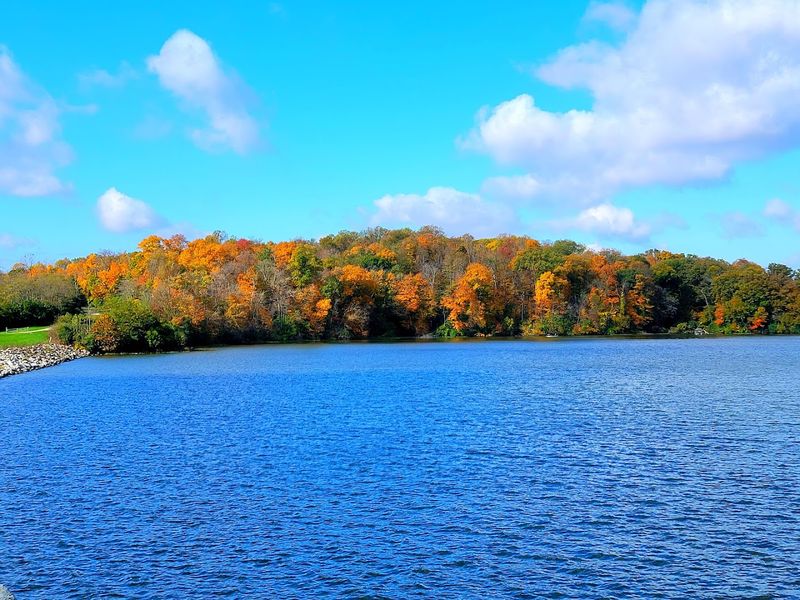 Acton Lake: A Sparkling Centerpiece Worth Every Glance