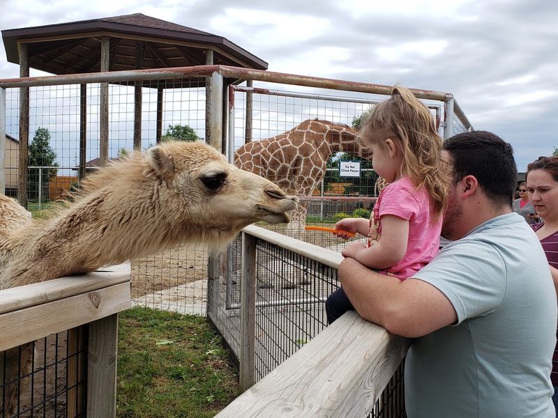 Admission Pricing and Planning Your Visit