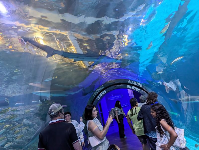 Adventure Aquarium – Camden, New Jersey