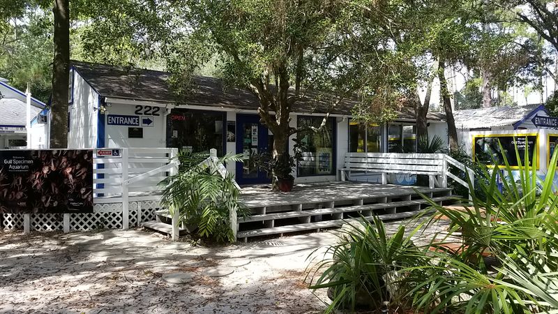 Affordable Living That Feels Like a Well-Kept Secret