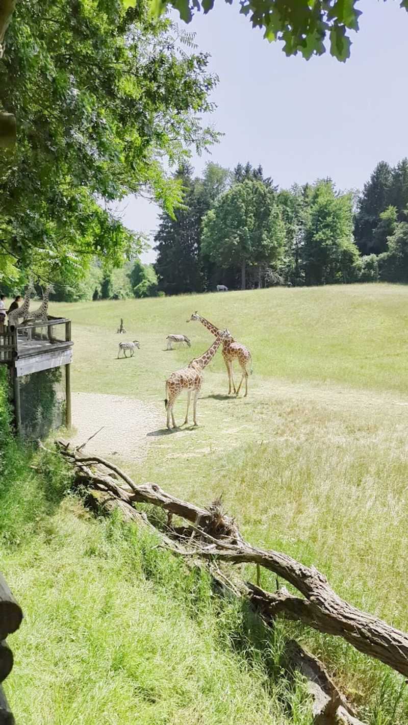 Africa Land: A Safari Right in Michigan