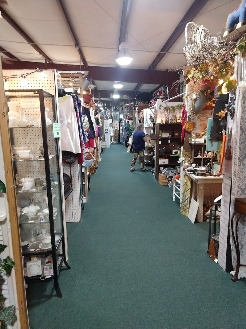 Air-Conditioned Comfort Makes Browsing a Pleasure