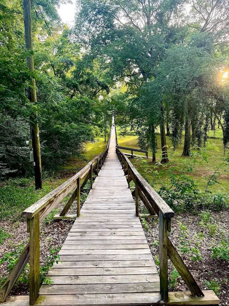 America's Longest Footbridge: A Record Worth Visiting
