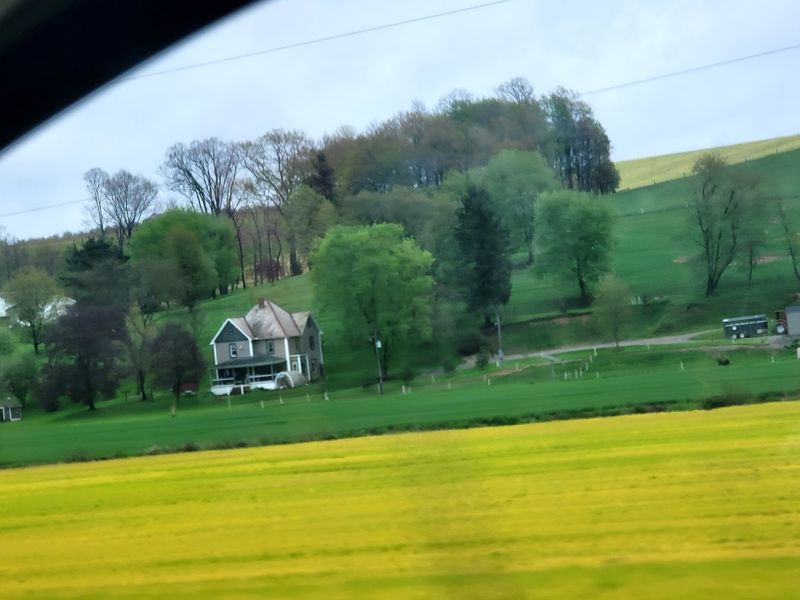 Amish Buggy Rides Through the Countryside