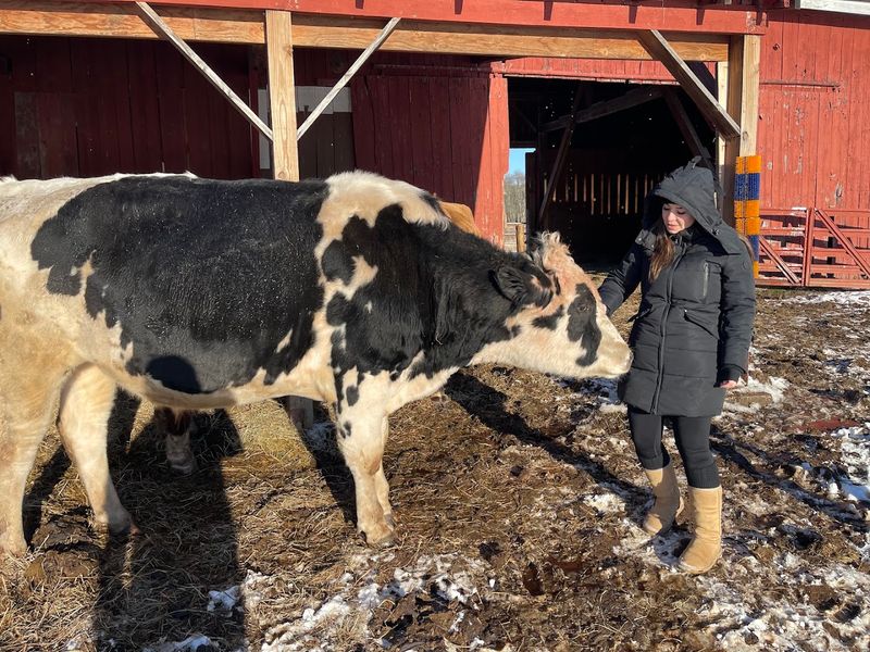 An Educational Stop That Inspires Compassion