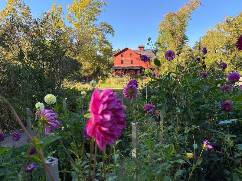 An Herb Garden That Adds Old-World Charm to the Grounds An Herb Garden That Adds Old-World Charm to the Grounds