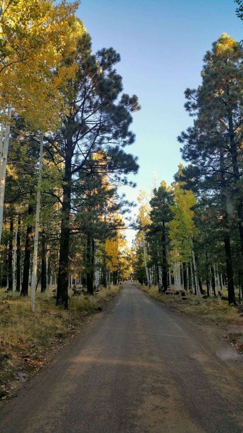 An Off-Grid Adventure Along Scenic Backroads An Off-Grid Adventure Along Scenic Backroads