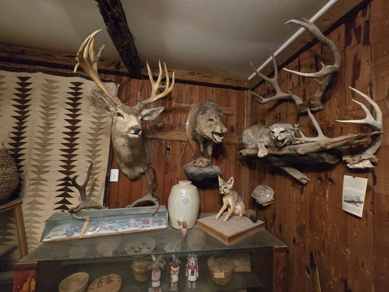 An On-Site Museum Hidden Inside the Restaurant An On-Site Museum Hidden Inside the Restaurant