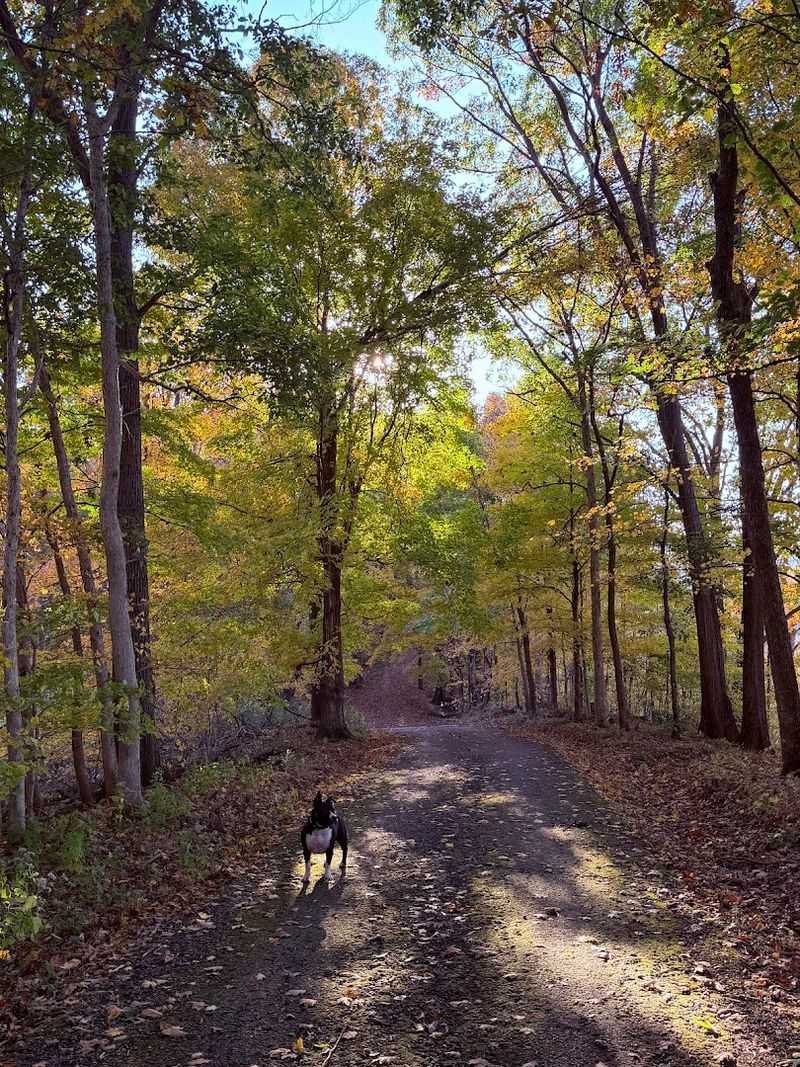 An Outdoor Experience Suited for All Ages