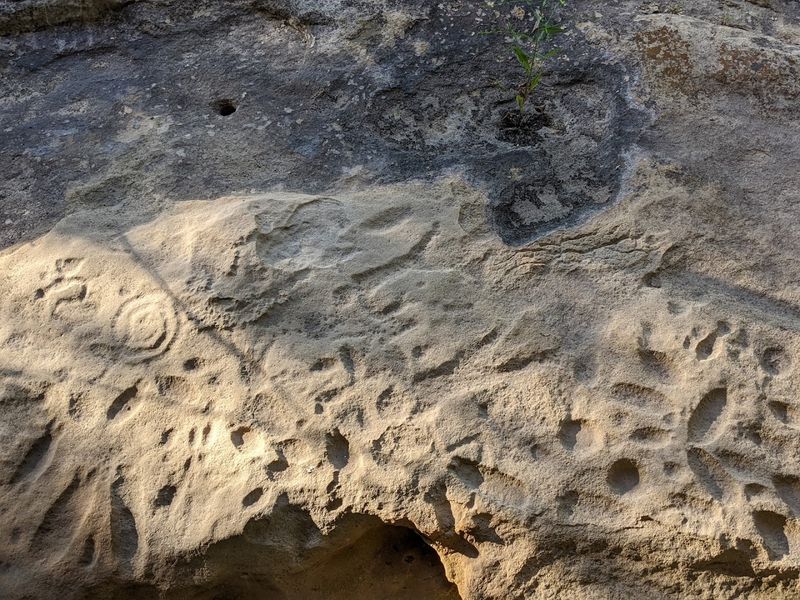Ancient Native American Petroglyphs