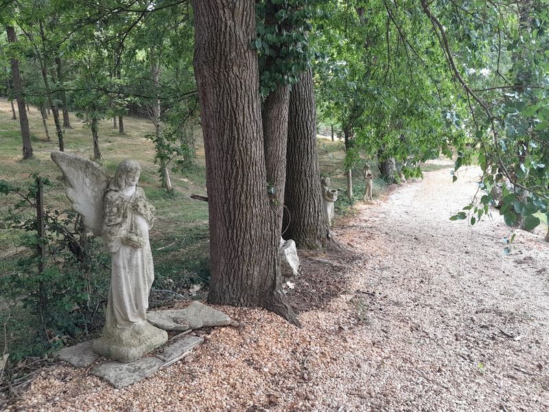 Angels, Mysteries, and a Whole Lot of Curiosity