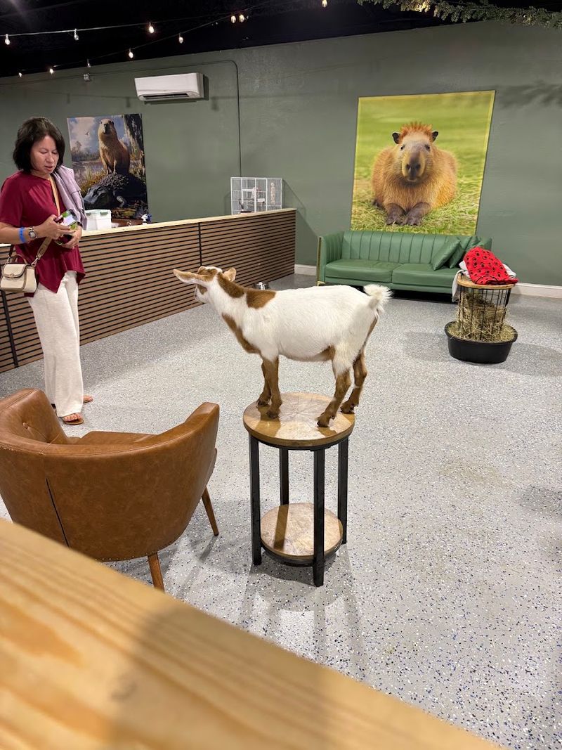Animal Welfare Is the Top Priority Here Animal Welfare Is the Top Priority Here