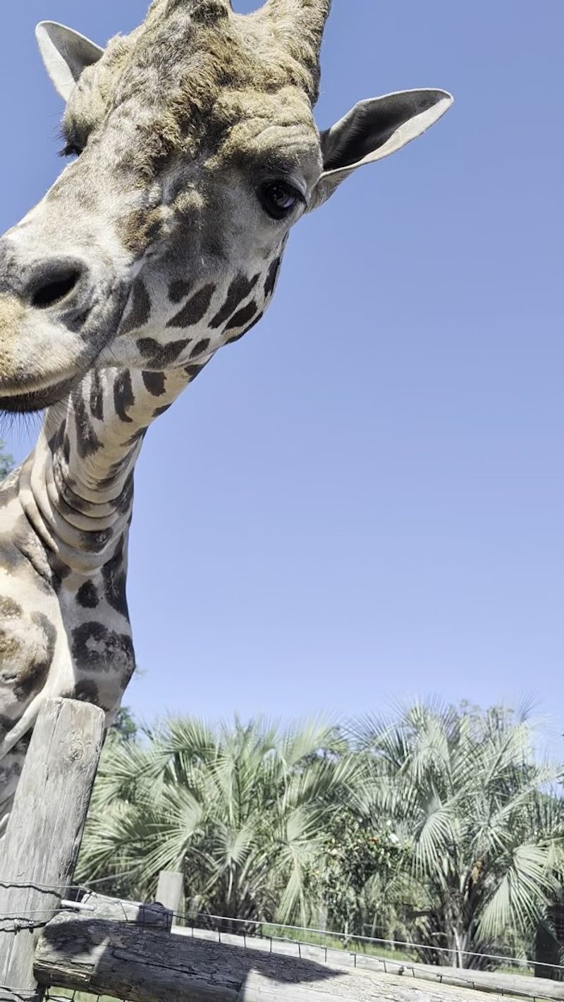 Animal Welfare You Can Actually See and Feel