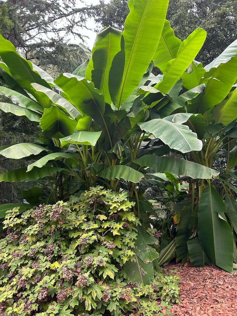 Annual Plant Sales That Are a Dream Come True for Home Gardeners