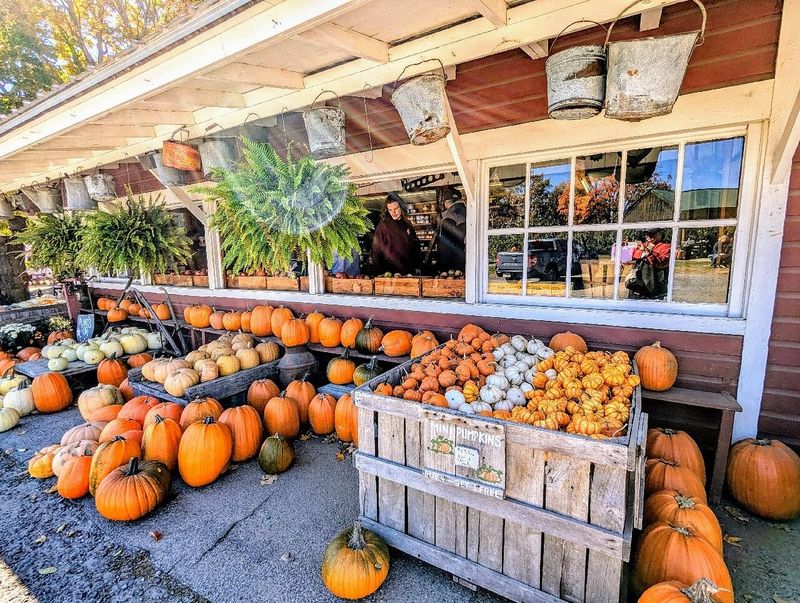 Apple Orchards and Farm Stands Worth Waking Up Early For