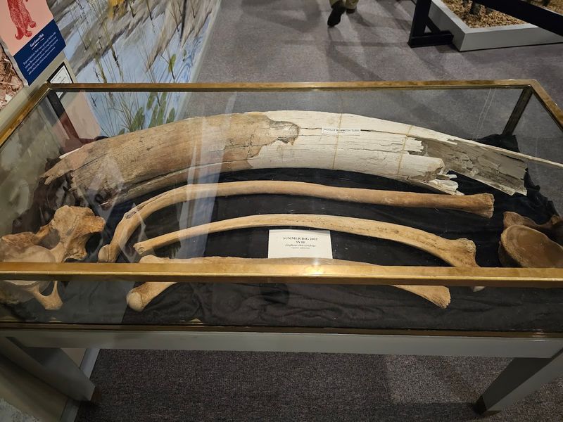 Archaeological Wonders Recovered Right From Local Soil Archaeological Wonders Recovered Right From Local Soil