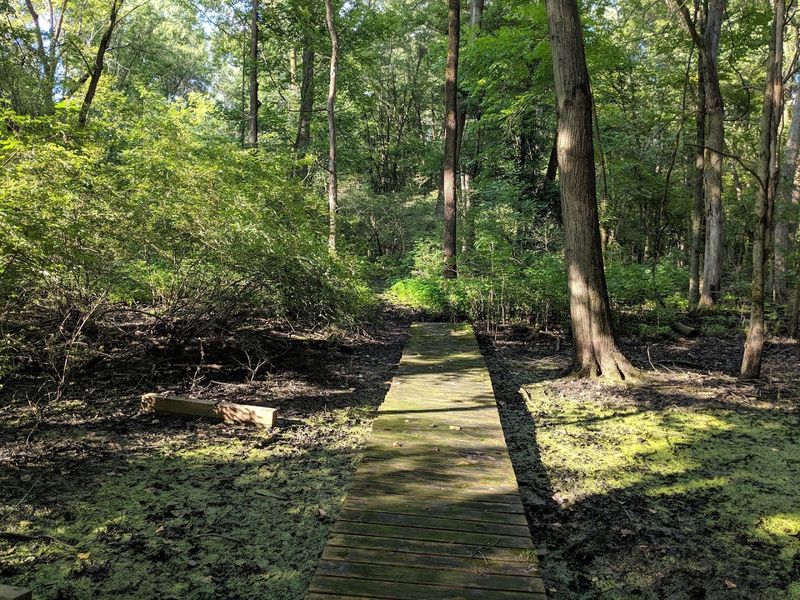Art And Poetry Scattered Along The Trails