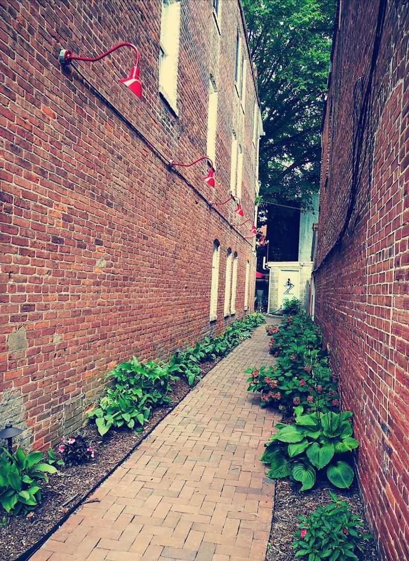 Art Galleries and the Creative Community