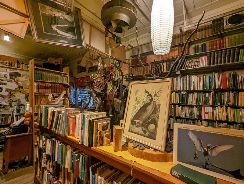 Art and Sculptures Scattered Throughout the Space