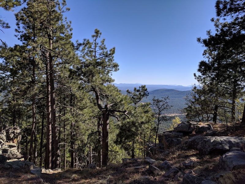 Aspen Campground - Mogollon Rim (near Payson), Arizona