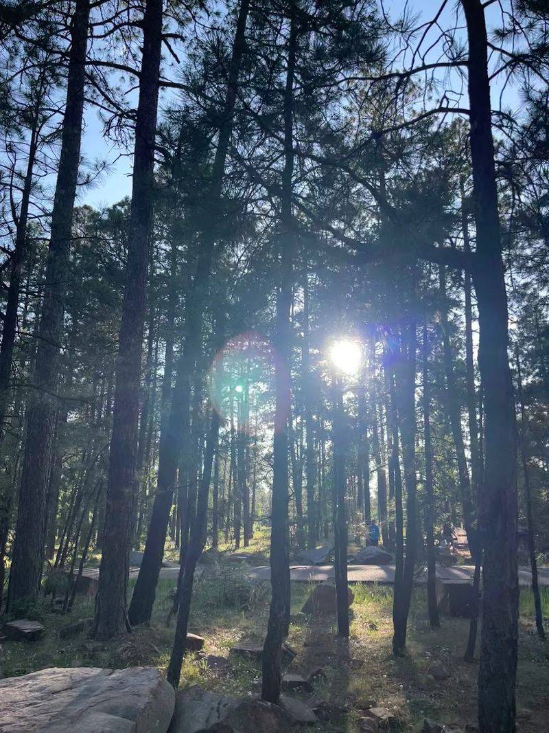 Aspen Campground - Payson, Arizona