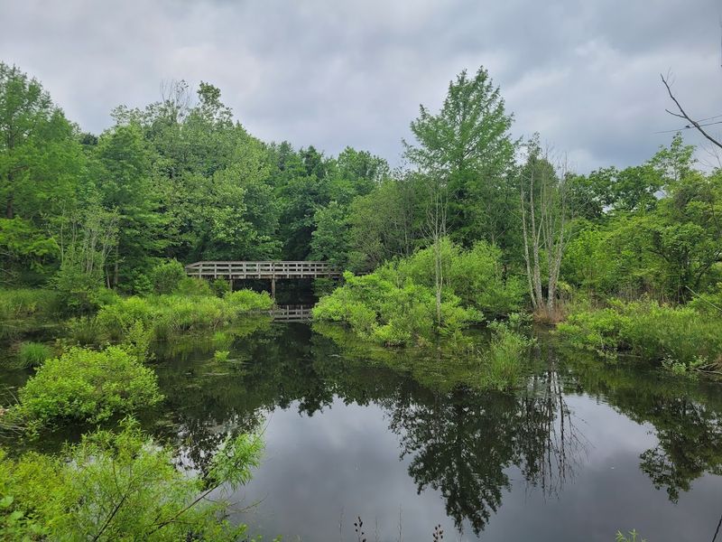 Atkins Arboretum Next Door