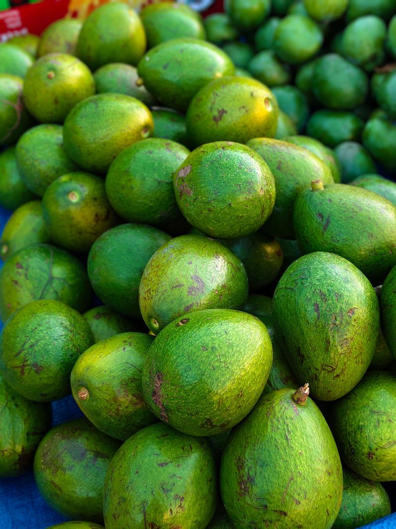 Avocados Avocados
