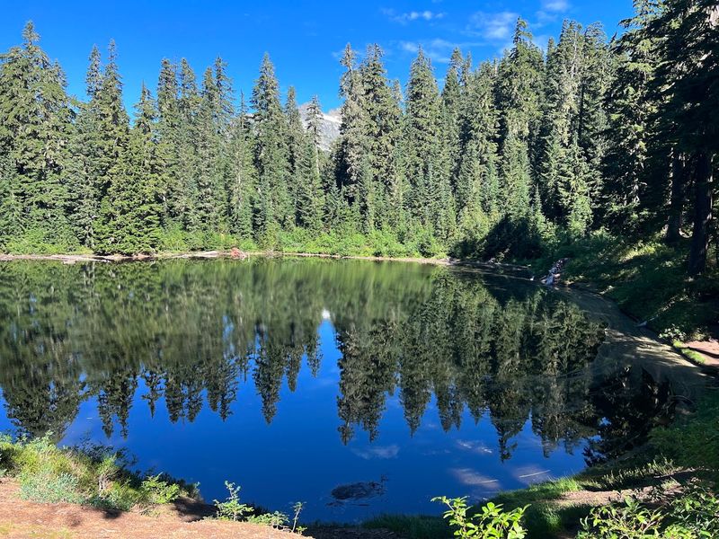 Backpacking and Camping Options Near Virgin Lake