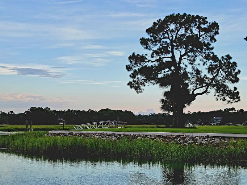 Bald Eagle Nest Observation Point